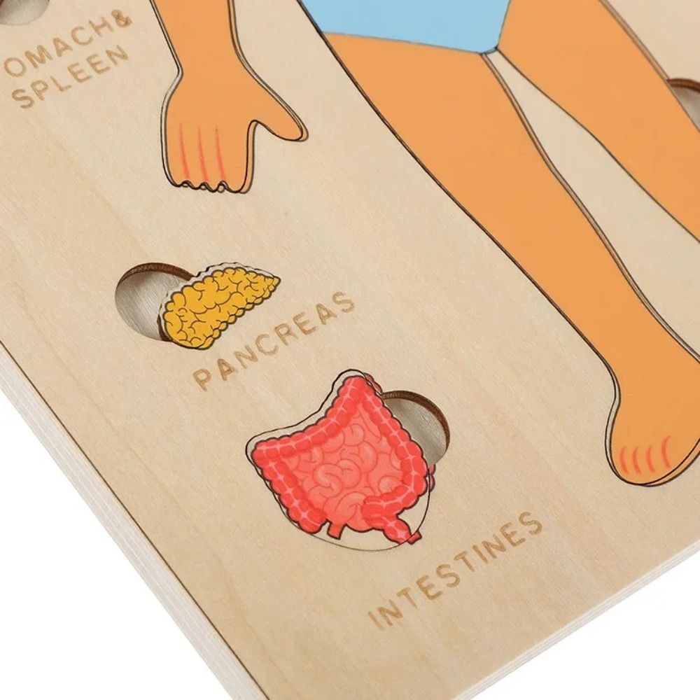 Human Body Puzzle - 新しい学習ボード モンテッソーリパズル 教育的インタラクティブ人体教育木製早期教育ゲーム 就学前教育用