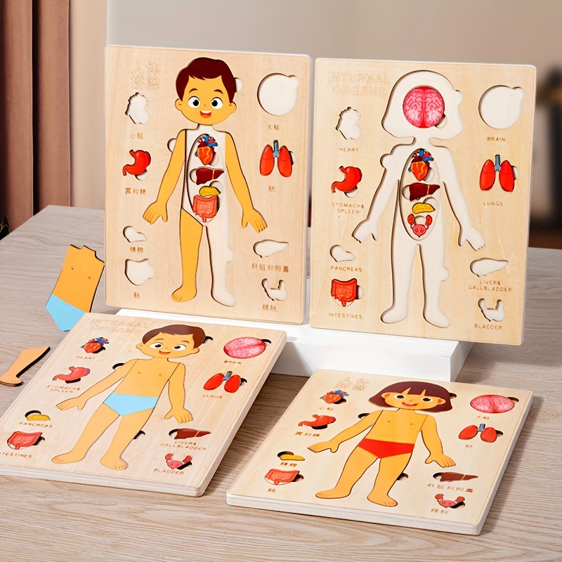 Human Body Puzzle - 子供のための木製モンテッソーリ教育ゲーム,人体パズル,解剖学ゲーム,未就学児のための教育ゲーム