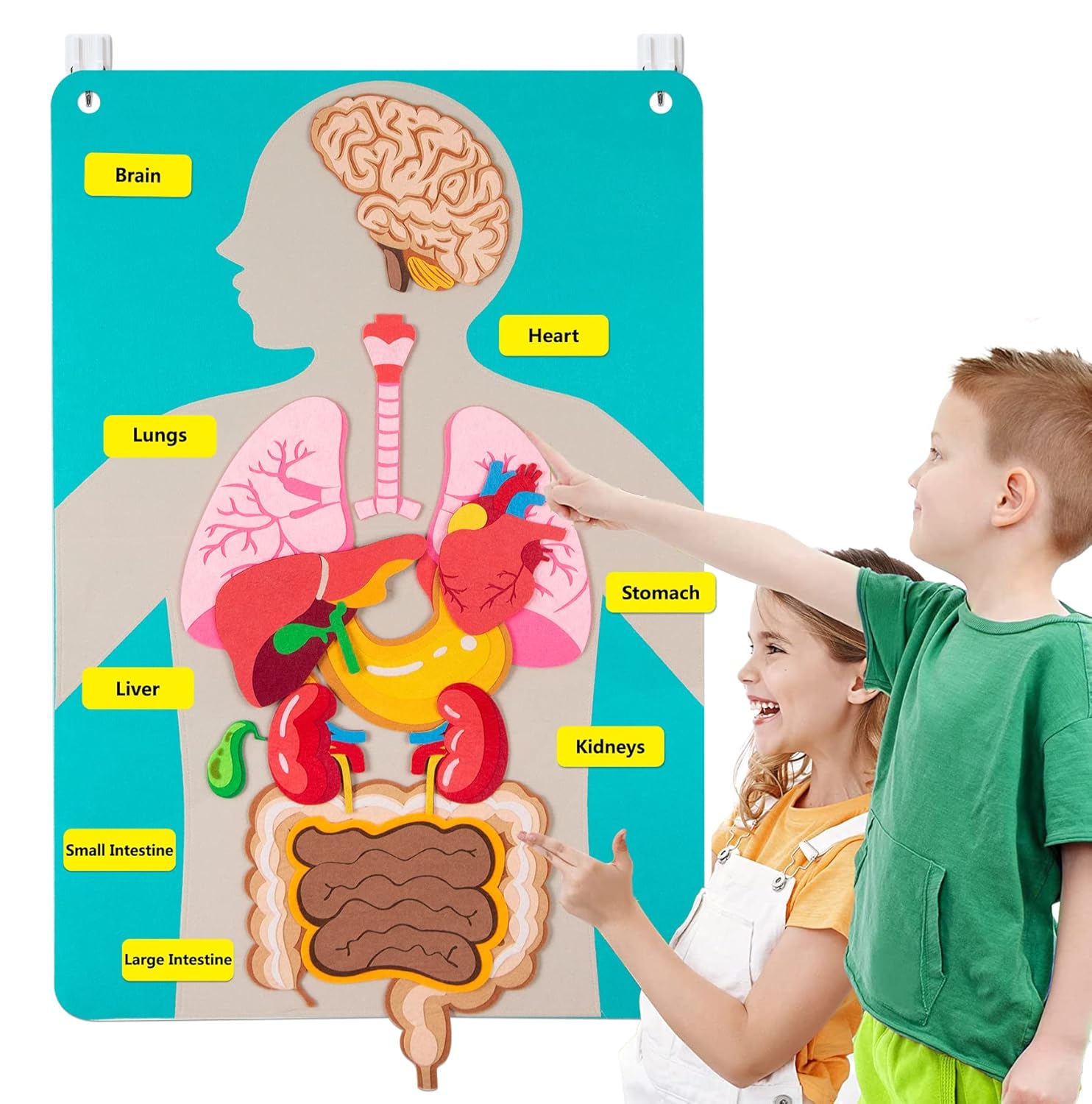 Human Body Puzzle - 人体のパーツ フェルトボード ストーリー 子供向け モンテッソーリ玩具 感覚活動