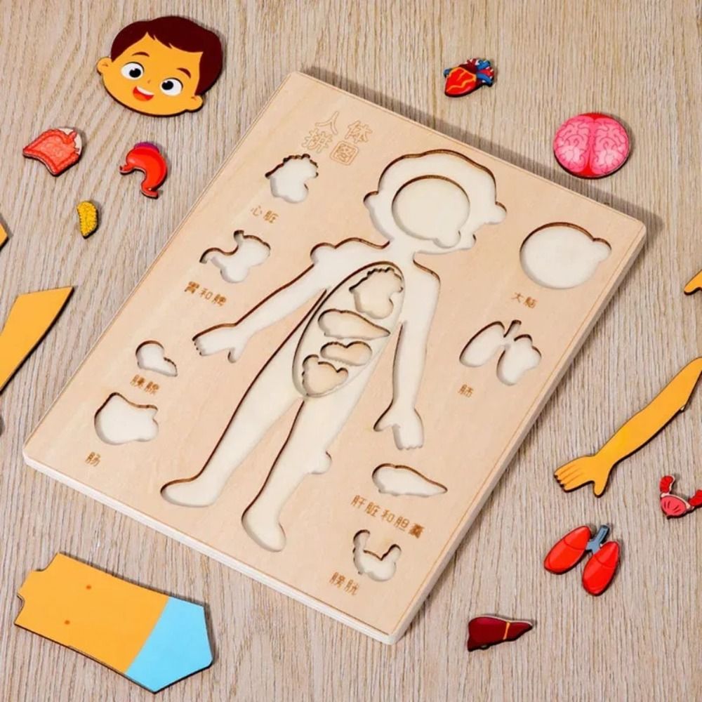 Human Body Puzzle - 新しい学習ボード モンテッソーリパズル 木製教育早期教育ゲーム インタラクティブ人体パズル 就学前向け