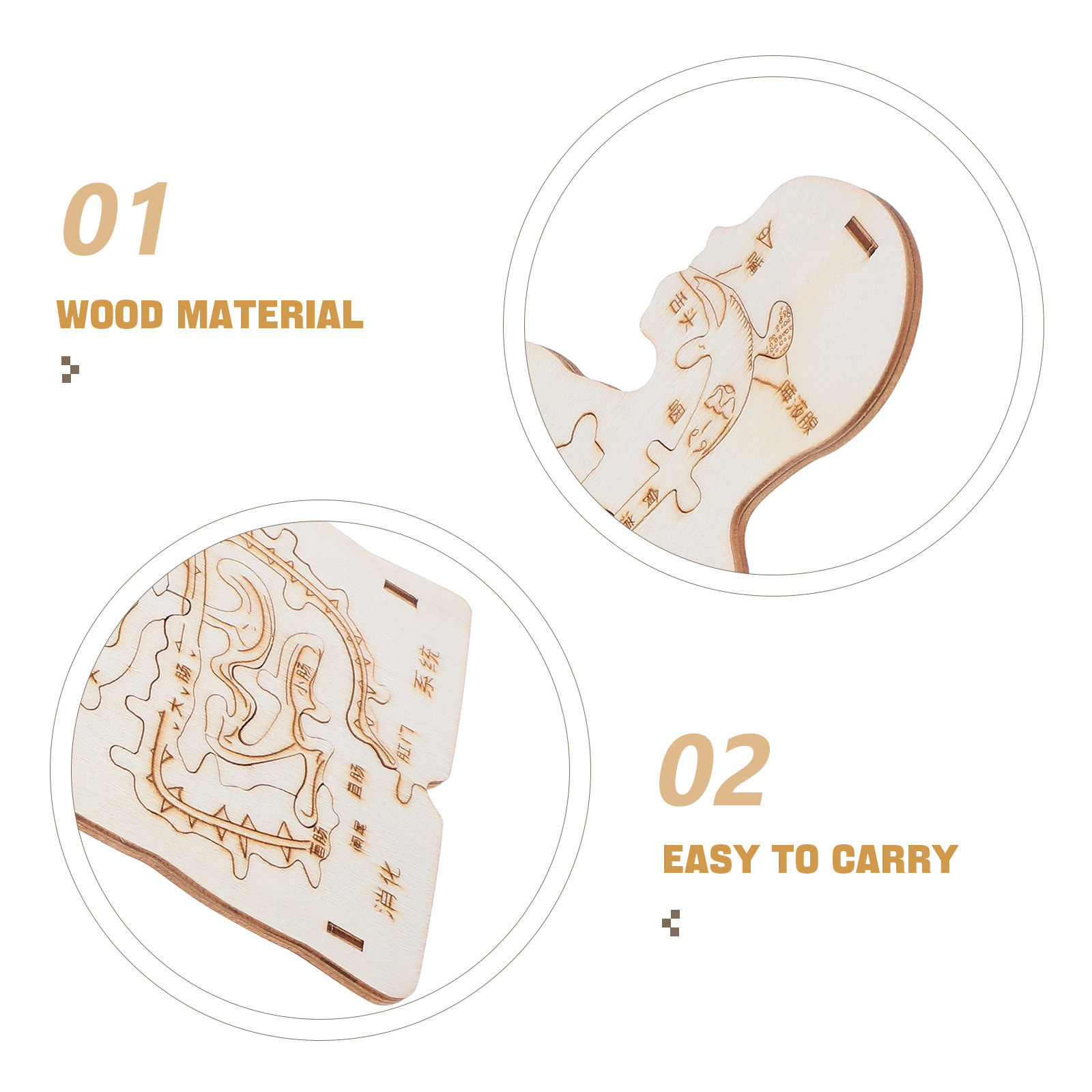 3個入り木製人体パズル教育セット、子供向け解剖学システムデザ - Human Body Puzzle のレビューと価格