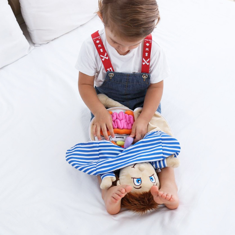 子供のための3D教育用おもちゃ,実験的なおもちゃの手,シミュ - Human Body Puzzle のレビューと価格