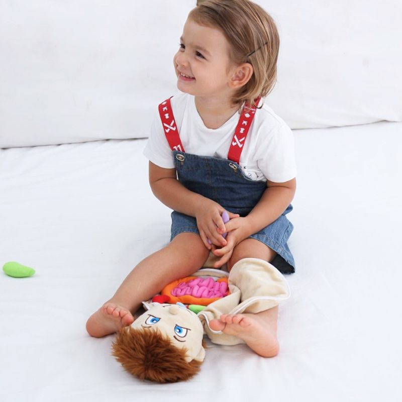 子供のための3D教育用おもちゃ,実験的なおもちゃの手,シミュ - Human Body Puzzle のレビューと価格
