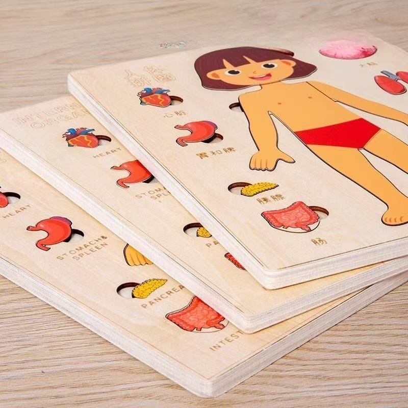 モンテッソーリパズル ビジーボード 人体教育 学習 体のパー - Human Body Puzzle のレビューと価格