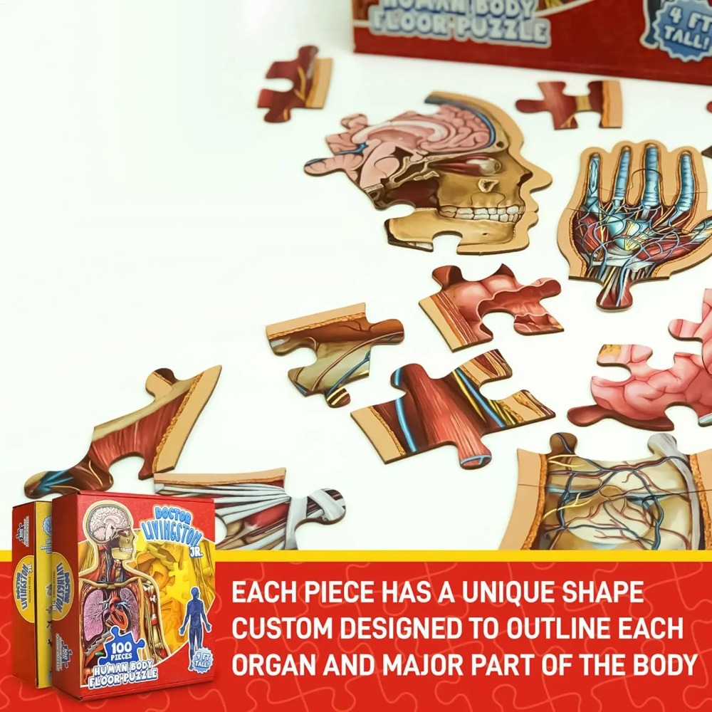 100ピース人体解剖パズル教育用ジグソー脳トレおもちゃ 男の - Human Body Puzzle のレビューと価格