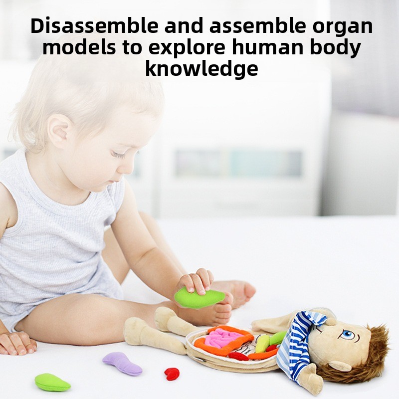 1個入り人体器官認知パズル、柔らかいぬいぐるみの体構造おもち - Human Body Puzzle のレビューと価格