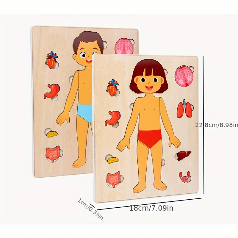 子供のための木製モンテッソーリ教育ゲーム,人体パズル,解剖学 - Human Body Puzzle のレビューと価格