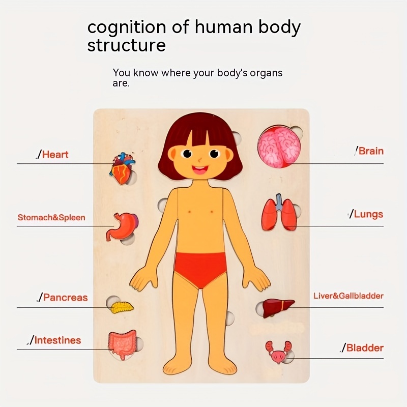 子供のための木製モンテッソーリ教育ゲーム,人体パズル,解剖学 - Human Body Puzzle のレビューと価格