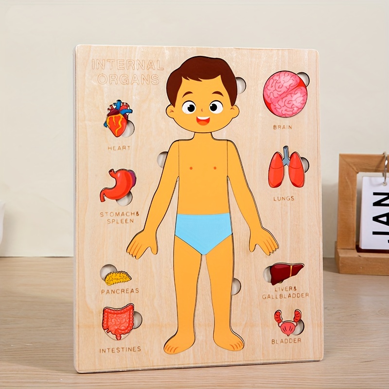 子供のための木製モンテッソーリ教育ゲーム,人体パズル,解剖学 - Human Body Puzzle のレビューと価格