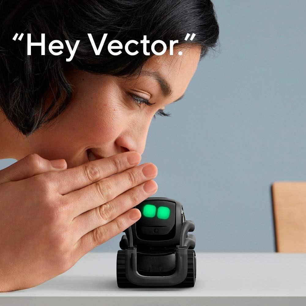 AI ChatGPT 2.0接続ロボットコンパニオン、顔認識 - Kids Education Toys のレビューと価格