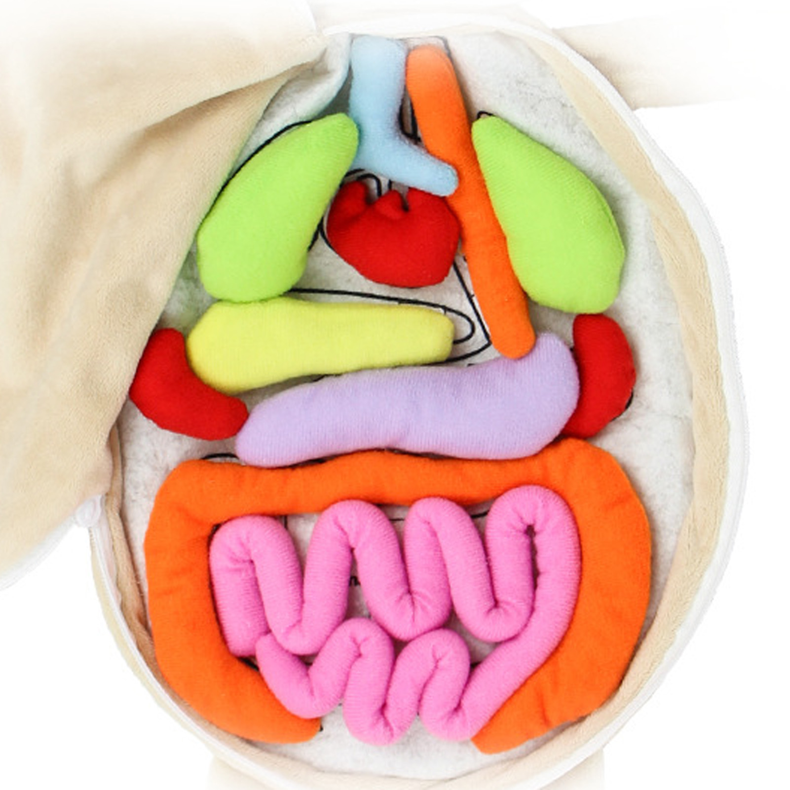 子供のための3D教育用おもちゃキット,人体の解剖学人形,コス - Human Body Puzzle のレビューと価格